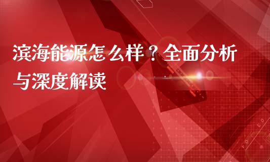滨海能源怎么样？全面分析与深度解读_https://wap.78312.cn_财经新闻_第1张