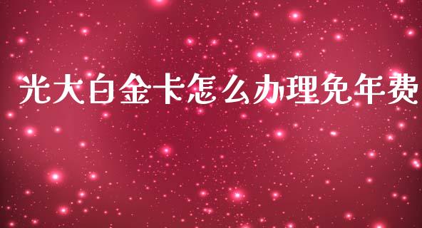 光大白金卡怎么办理免年费_https://wap.78312.cn_期货开户_第1张
