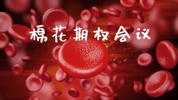 棉花期权会议_https://wap.78312.cn_外汇交易_第1张