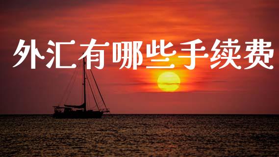 外汇有哪些手续费_https://wap.78312.cn_外汇交易_第1张