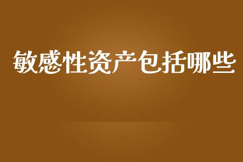 敏感性资产包括哪些_https://wap.78312.cn_债券资讯_第1张