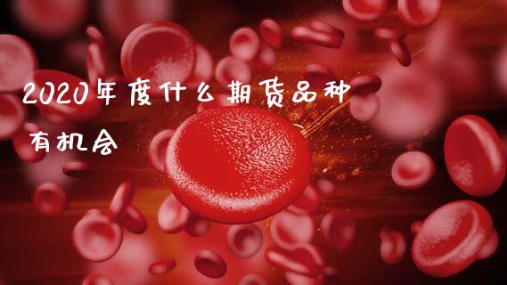 2020年度什么期货品种有机会_https://wap.78312.cn_全球市场_第1张