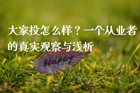 大家投怎么样？一个从业者的真实观察与浅析_https://wap.78312.cn_全球市场_第1张