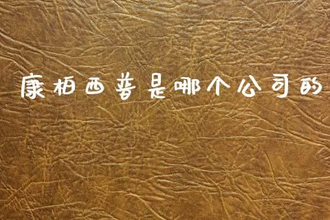 康柏西普是哪个公司的_https://wap.78312.cn_期货开户_第1张