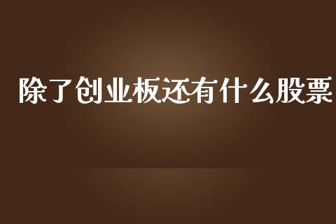 除了创业板还有什么股票_https://wap.78312.cn_金融监管_第1张
