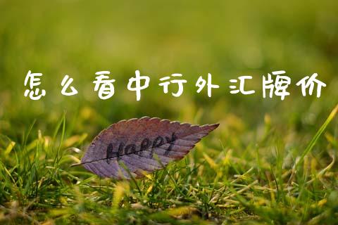 怎么看中行外汇牌价_https://wap.78312.cn_外汇交易_第1张