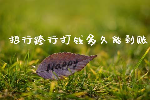 招行跨行打钱多久能到账_https://wap.78312.cn_金融监管_第1张