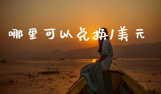 哪里可以兑换1美元_https://wap.78312.cn_全球市场_第1张