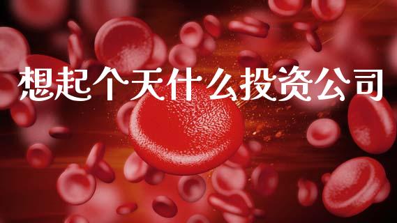 想起个天什么投资公司_https://wap.78312.cn_财经新闻_第1张