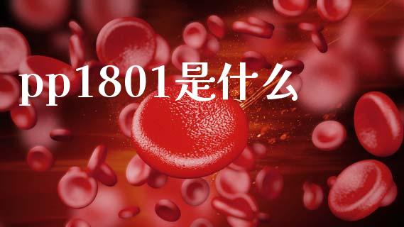 pp1801是什么_全球市场_第1张_期货开户_金融监管_外汇交易_债券资讯_全球市场_财经新闻 pp1801是什么_https://wap.78312.cn_全球市场_第1张