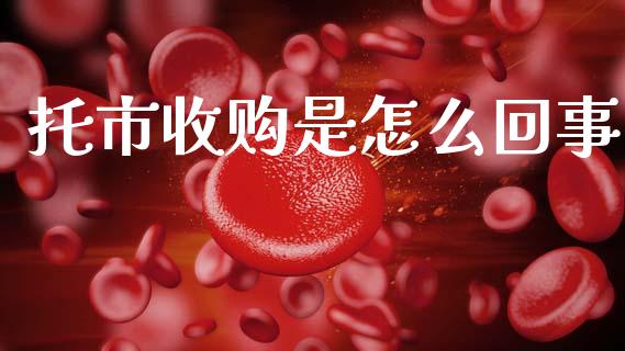 托市收购是怎么回事_https://wap.78312.cn_财经新闻_第1张