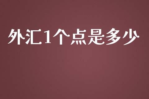 外汇1个点是多少_https://wap.78312.cn_外汇交易_第1张