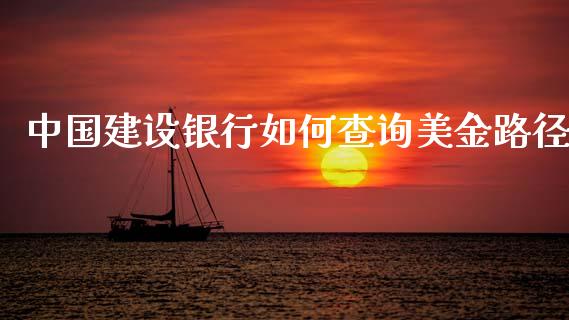 中国建设银行如何查询美金路径_https://wap.78312.cn_外汇交易_第1张