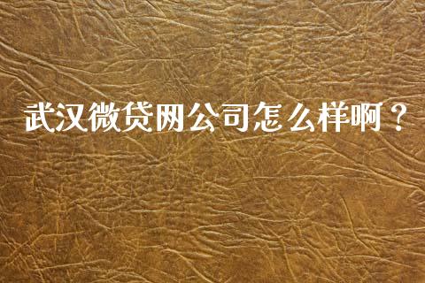 武汉微贷网公司怎么样啊?_财经新闻_第1张_期货开户_金融监管_外汇交易_债券资讯_全球市场_财经新闻 武汉微贷网公司怎么样啊?_https://wap.78312.cn_财经新闻_第1张