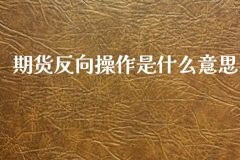 期货反向操作是什么意思_https://wap.78312.cn_外汇交易_第1张