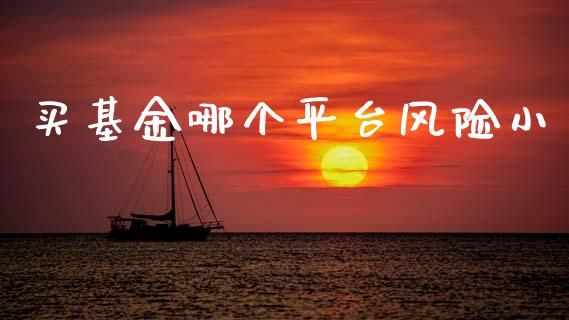 买基金哪个平台风险小_https://wap.78312.cn_债券资讯_第1张