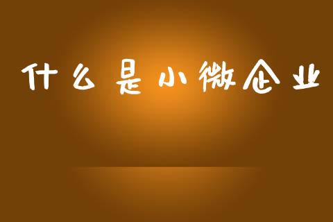 什么是小微企业_https://wap.78312.cn_全球市场_第1张