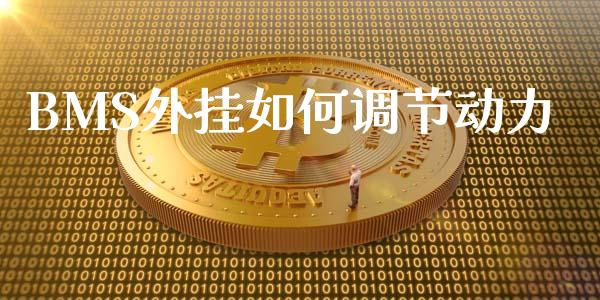 BMS外挂如何调节动力_https://wap.78312.cn_全球市场_第1张
