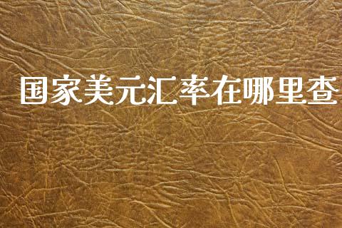 国家美元汇率在哪里查_https://wap.78312.cn_全球市场_第1张