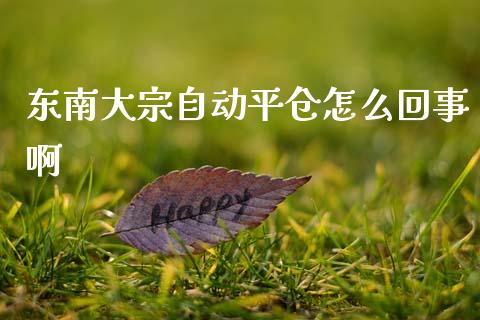 东南大宗自动平仓怎么回事啊_https://wap.78312.cn_外汇交易_第1张