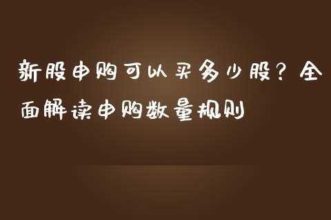 新股申购可以买多少股？全面解读申购数量规则_https://wap.78312.cn_外汇交易_第1张