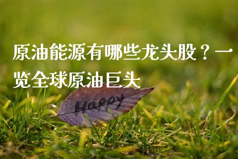 原油能源有哪些龙头股？一览全球原油巨头_https://wap.78312.cn_外汇交易_第1张