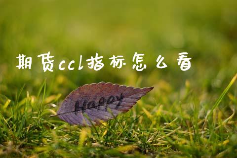 期货ccl指标怎么看_https://wap.78312.cn_财经新闻_第1张