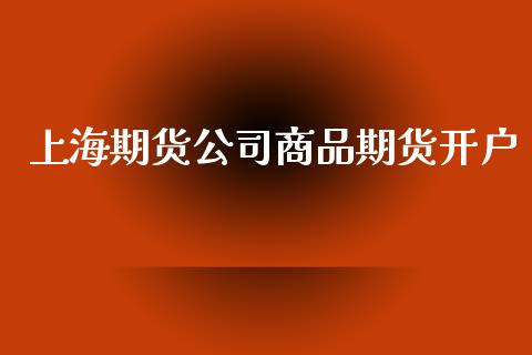 上海期货公司商品期货开户_https://wap.78312.cn_金融监管_第1张
