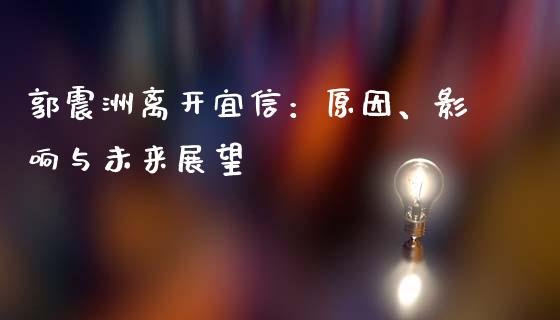 郭震洲离开宜信：原因、影响与未来展望_https://wap.78312.cn_金融监管_第1张
