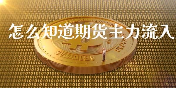 怎么知道期货主力流入_https://wap.78312.cn_外汇交易_第1张