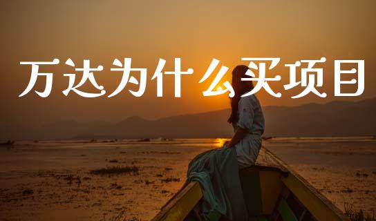 万达为什么买项目_https://wap.78312.cn_债券资讯_第1张