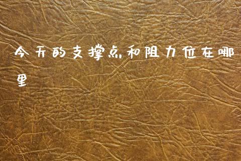 今天的支撑点和阻力位在哪里_https://wap.78312.cn_全球市场_第1张