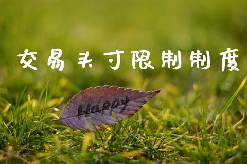 交易头寸限制制度_https://wap.78312.cn_期货开户_第1张