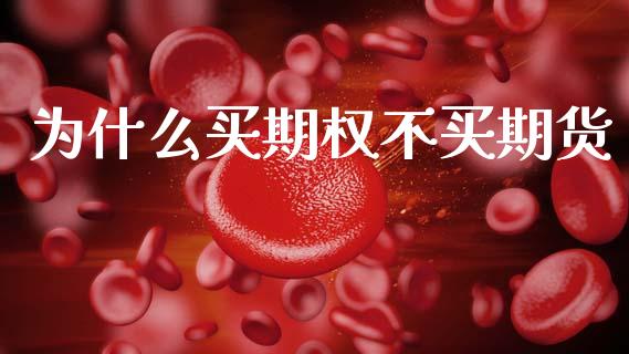 为什么买期权不买期货_https://wap.78312.cn_期货开户_第1张