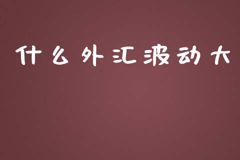 什么外汇波动大_https://wap.78312.cn_债券资讯_第1张