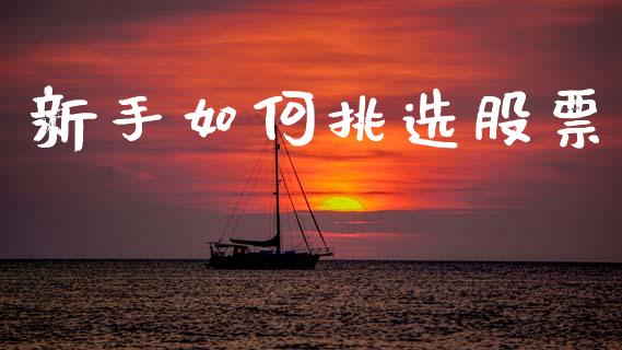 新手如何挑选股票_https://wap.78312.cn_债券资讯_第1张