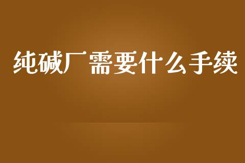 纯碱厂需要什么手续_https://wap.78312.cn_金融监管_第1张