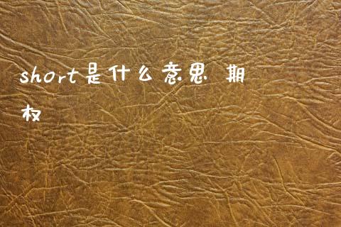 short是什么意思 期权_https://wap.78312.cn_全球市场_第1张