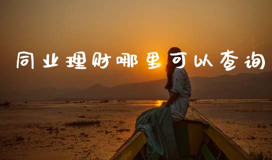 同业理财哪里可以查询_https://wap.78312.cn_财经新闻_第1张