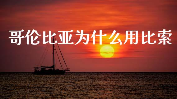 哥伦比亚为什么用比索_https://wap.78312.cn_外汇交易_第1张