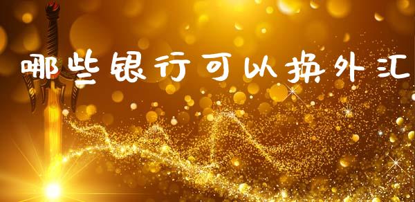 哪些银行可以换外汇_https://wap.78312.cn_金融监管_第1张