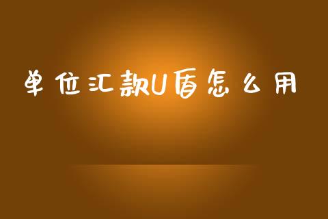 单位汇款U盾怎么用_https://wap.78312.cn_外汇交易_第1张