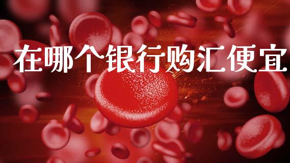 在哪个银行购汇便宜_https://wap.78312.cn_债券资讯_第1张