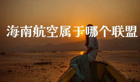 海南航空属于哪个联盟_https://wap.78312.cn_财经新闻_第1张