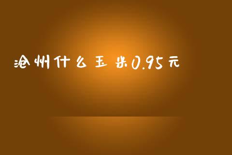 沧州什么玉米0.95元_https://wap.78312.cn_金融监管_第1张
