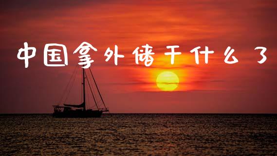 中国拿外储干什么了_https://wap.78312.cn_外汇交易_第1张