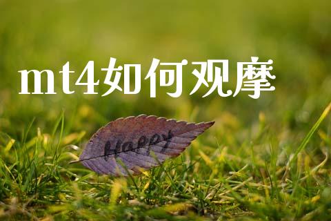 mt4如何观摩_https://wap.78312.cn_债券资讯_第1张