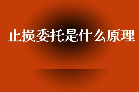 止损委托是什么原理_https://wap.78312.cn_外汇交易_第1张