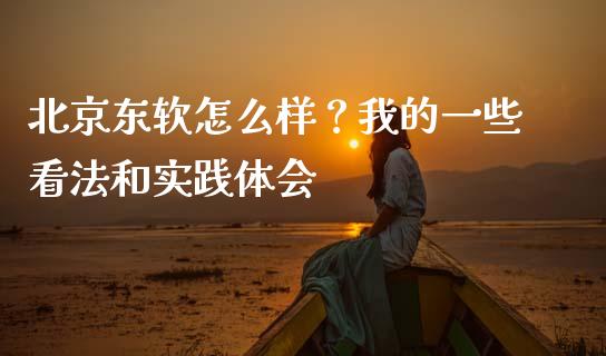 北京东软怎么样？我的一些看法和实践体会_https://wap.78312.cn_全球市场_第1张
