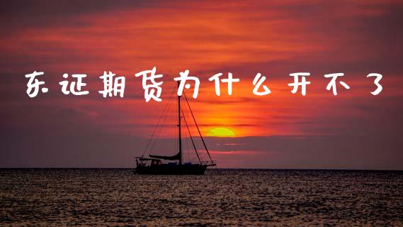 东证期货为什么开不了_https://wap.78312.cn_全球市场_第1张